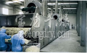 DWC系列脱水蔬菜带式干燥机