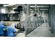 DWT系列脱水蔬菜带式干燥机