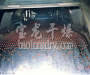 RL系列熔融造粒机